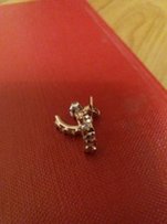 Серги Новые срибло 925проба в позолоте - Киев