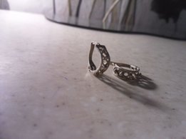 Серебришко 925 - Первомайск