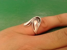Серебряное кольцо - Донецк