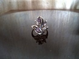 Серебряное кольцо - Киев