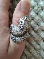Серебряное кольцо - Житомир