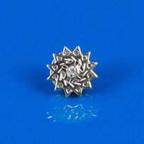 Серебряные и золотые значки Звезды Эрцгаммы - Вознесенск