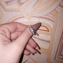 Серебряное кольцо - Славянск