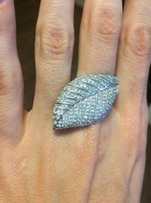 Серебряное кольцо - Житомир